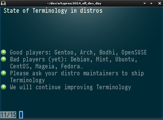 State of Terminology in distros